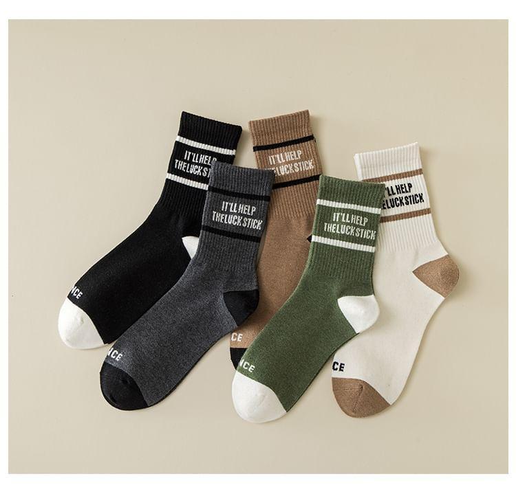 Lettering Crew Socks Product Image