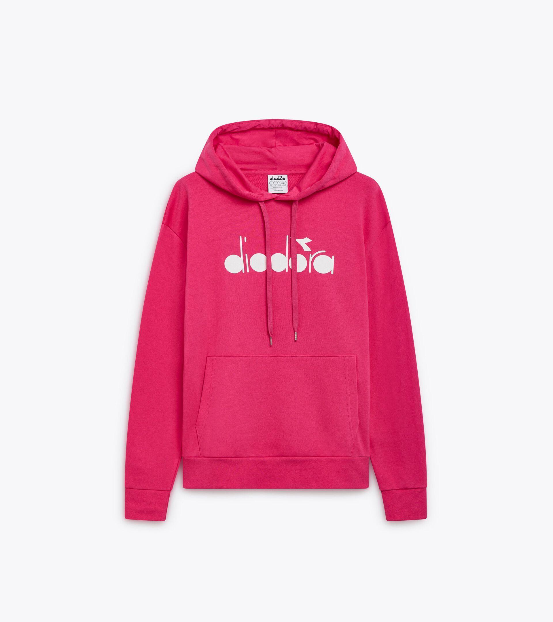 HOODIE LOGO Product Image