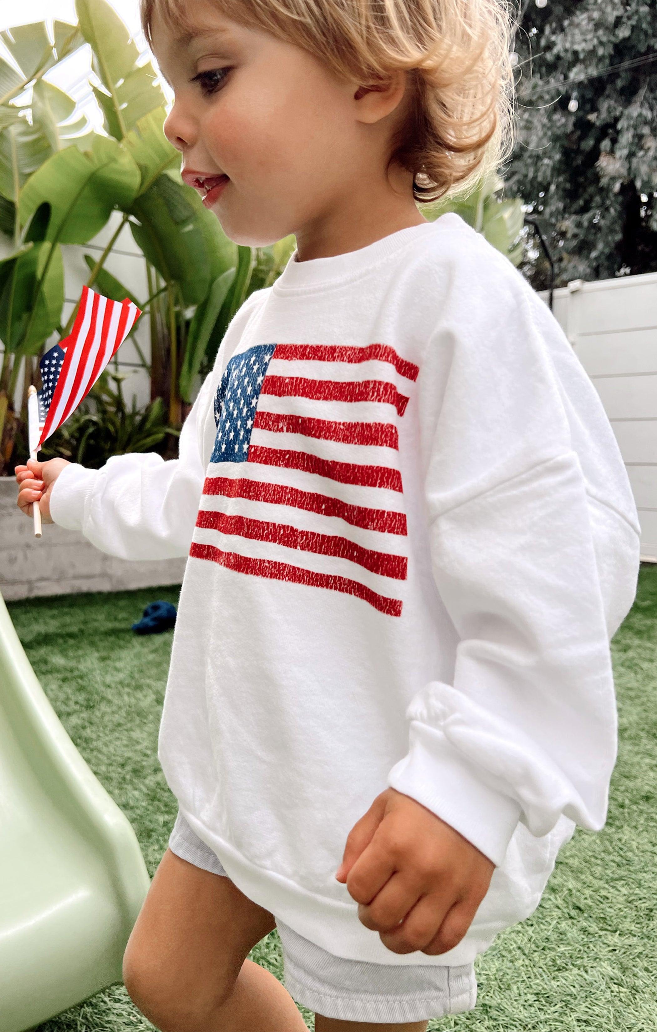 Davis Sweatshirt ~ American Flag Product Image