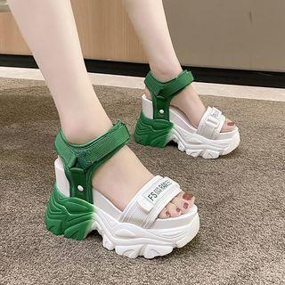 Platform Wedge Two Tone Sandals Product Image