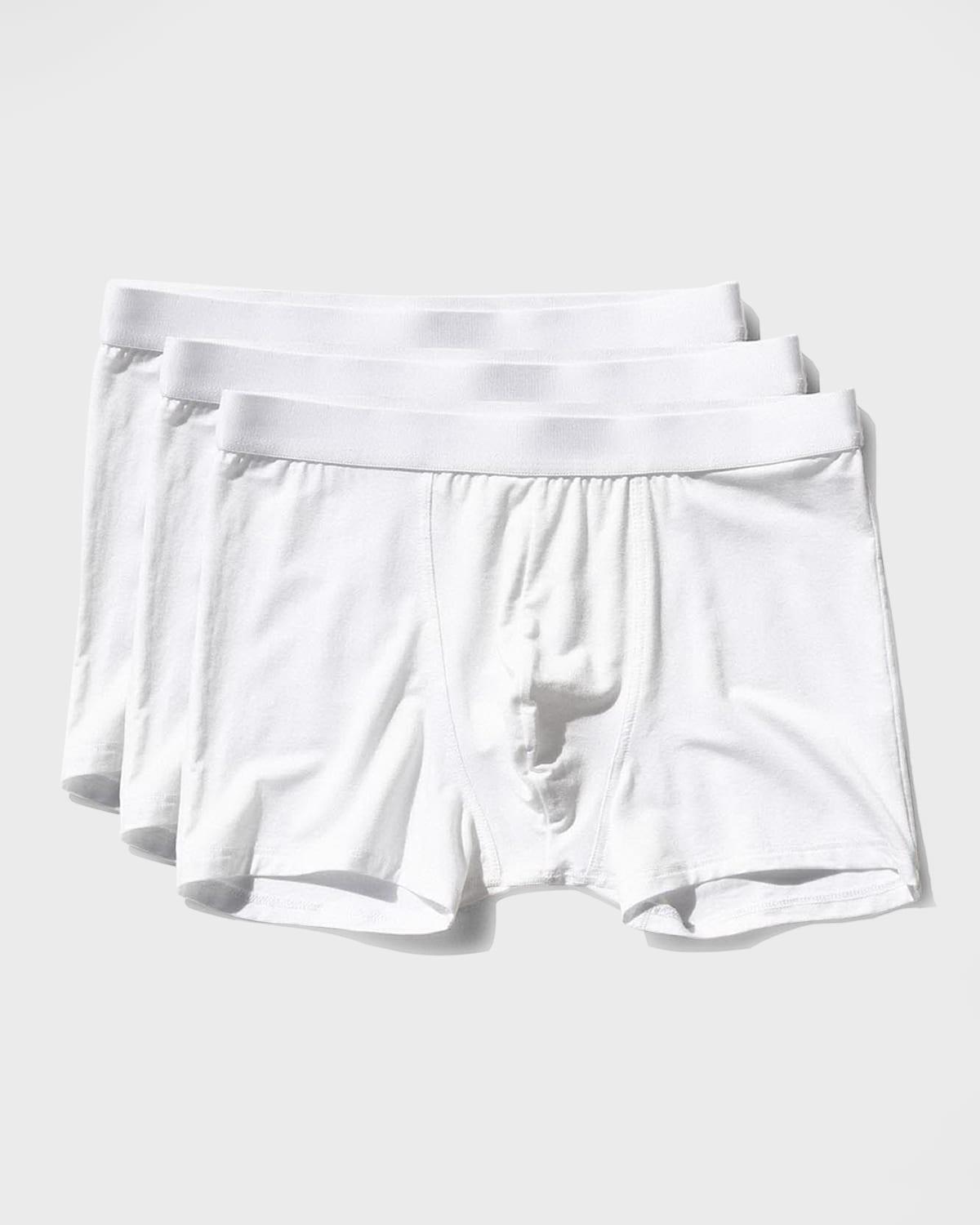 Mens 3-Pack Lyocell Boxer Briefs Product Image