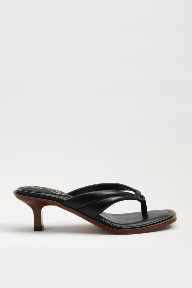 Daphney Thong Sandal- Black Product Image