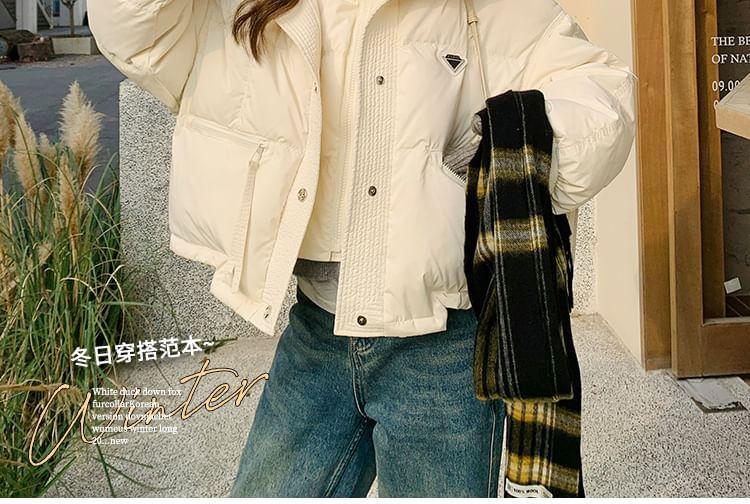 Mock Two-Piece Stand Collar Plain Down Zip Jacket Product Image