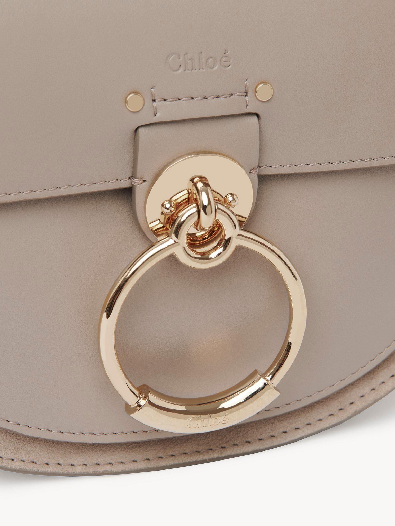 Small Tess bag in shiny & suede leather Product Image