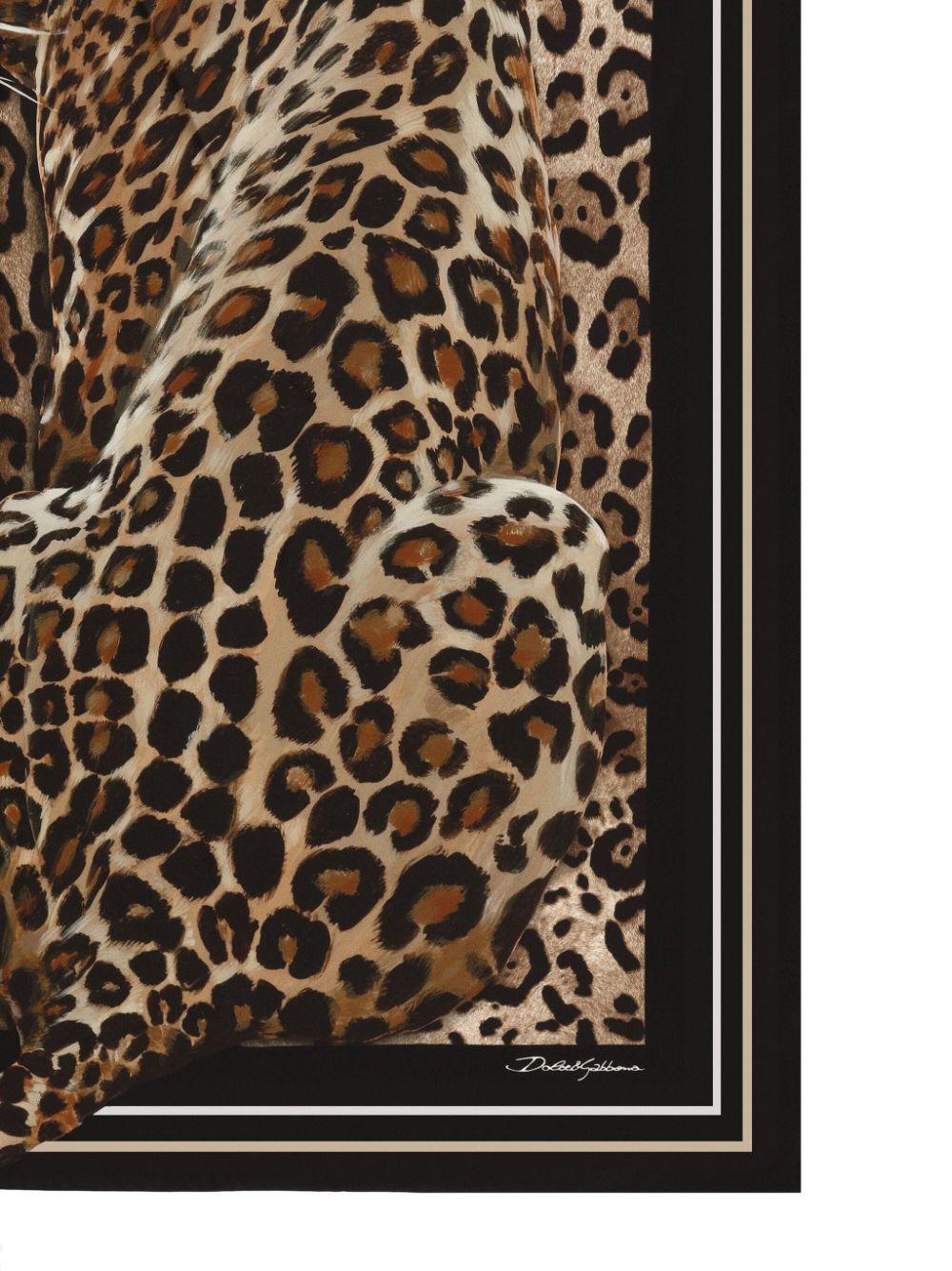 DOLCE & GABBANA Leopard-print Scarf In Brown Product Image