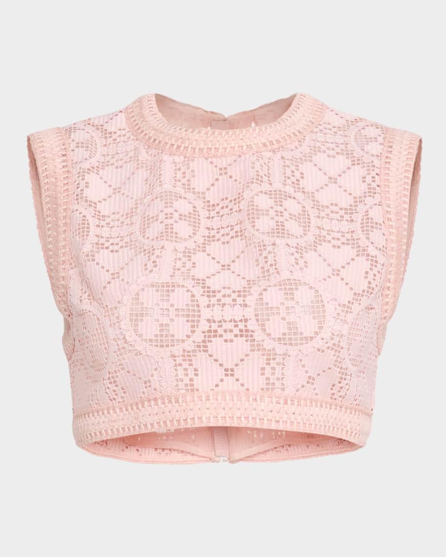 Embroidered Lace Sleeveless Crop Top Product Image