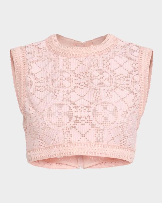 Embroidered Lace Sleeveless Crop Top Product Image