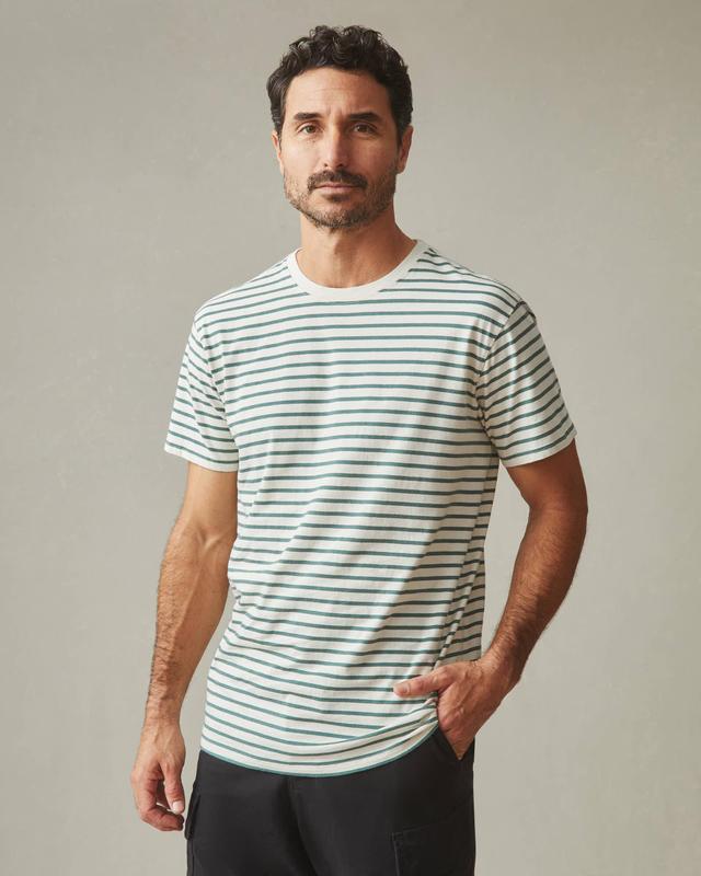 Classic Cotton Crew Tee Striped - Sagebrush Green Stripe Product Image