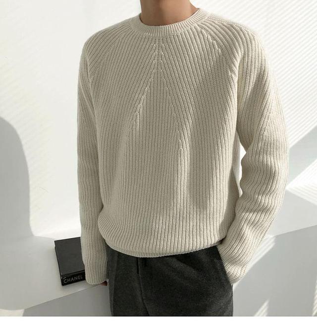 Crew Neck Plain Sweater Product Image