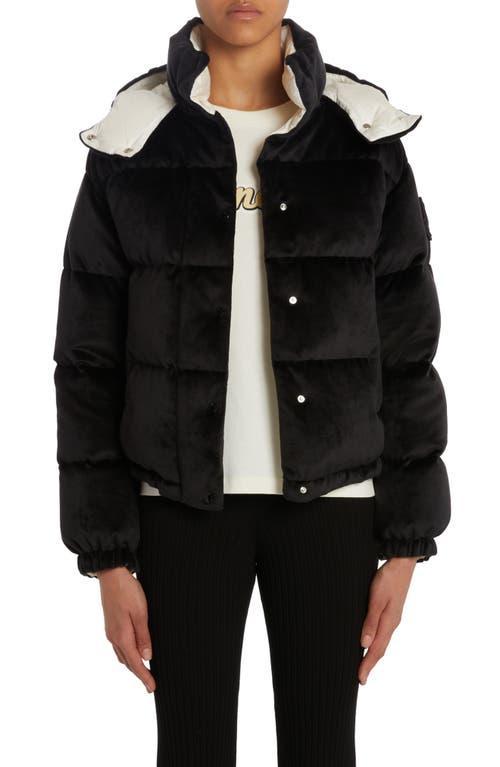 Moncler Daos Quilted Down Jacket Product Image