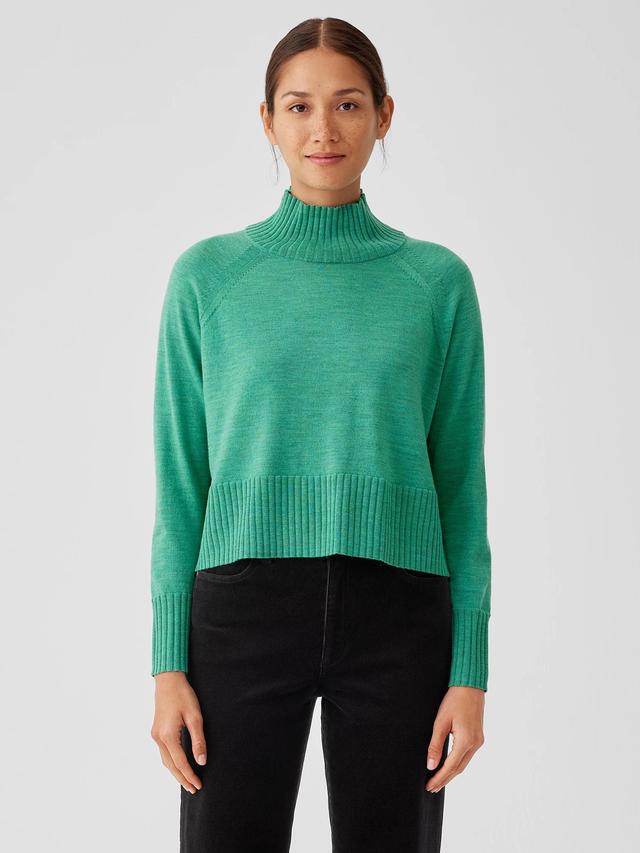 EILEEN FISHER Merino Jersey Turtleneck Top in Regenerative Woolfemale Product Image