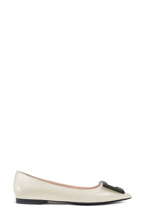 Roger Vivier Gommettine Buckle Pointed Toe Flat Product Image