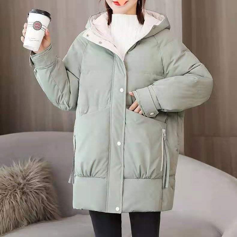 Hooded Plain Padded Coat Product Image