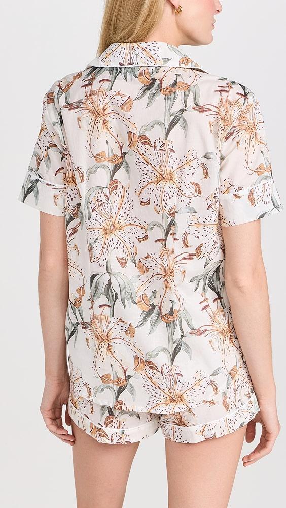 Desmond & Dempsey Womens Short Sleeve Set | Shopbop Product Image