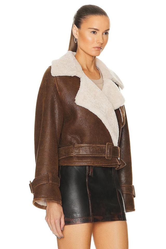 NOUR HAMMOUR Hatti Shearling Double Breasted Crop Belt Jacket in Brown Product Image