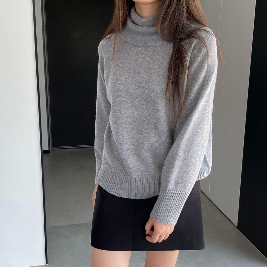 Turtleneck Plain Sweater Product Image