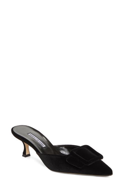 MANOLO BLAHNIK Maysale 50 Black Suede Mules product image