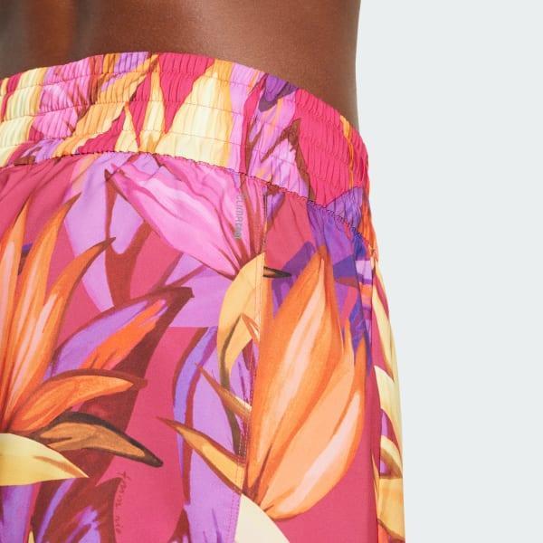 adidas x FARM Rio Pacer Shorts Product Image