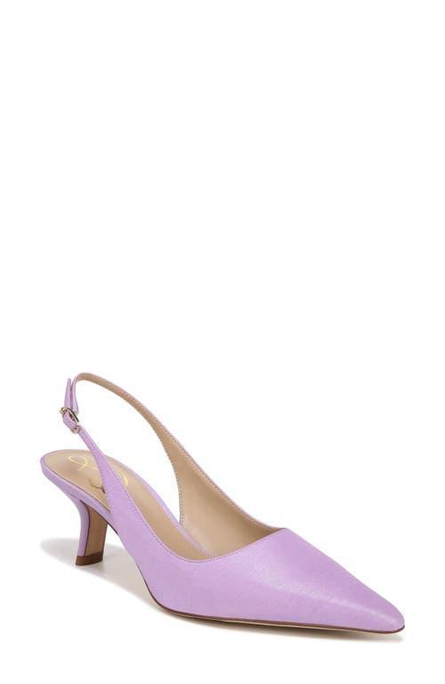 Sam Edelman Bianka Slingback Pointed Toe Pumps Product Image