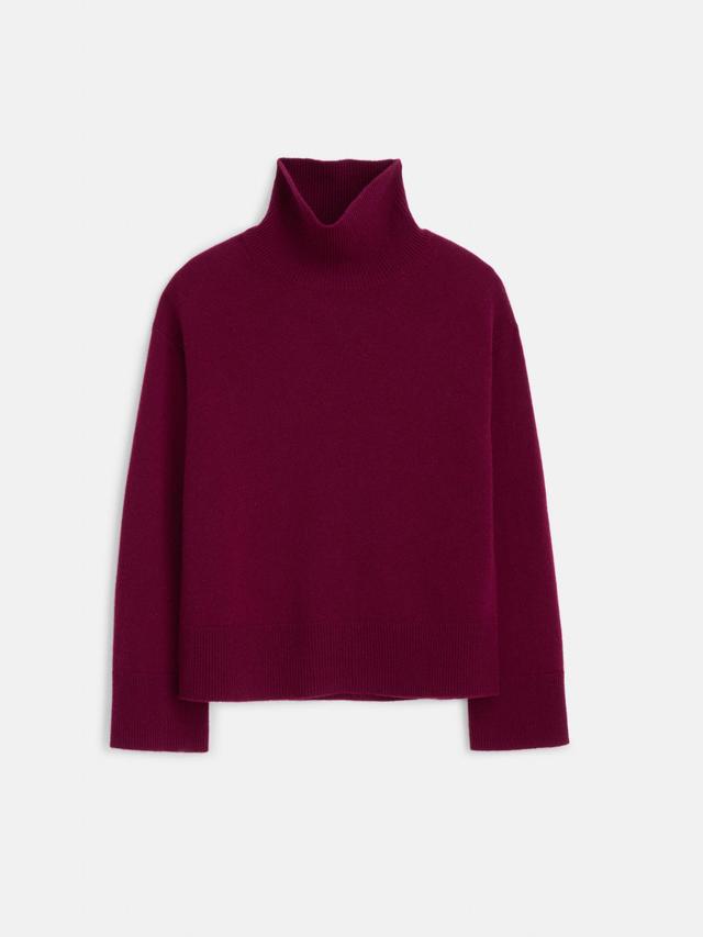 Cecile Turtleneck in Cashmere Female Product Image