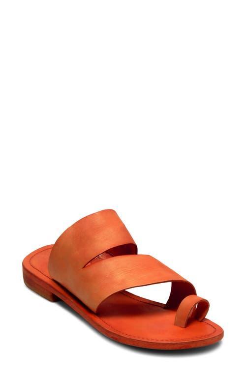 Free People Abilene Toe Loop Sandal Product Image