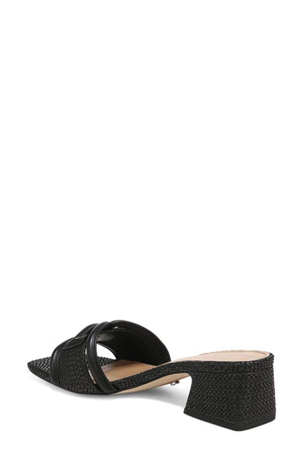 SAM EDELMAN Waylon Slide Sandal In Black Product Image