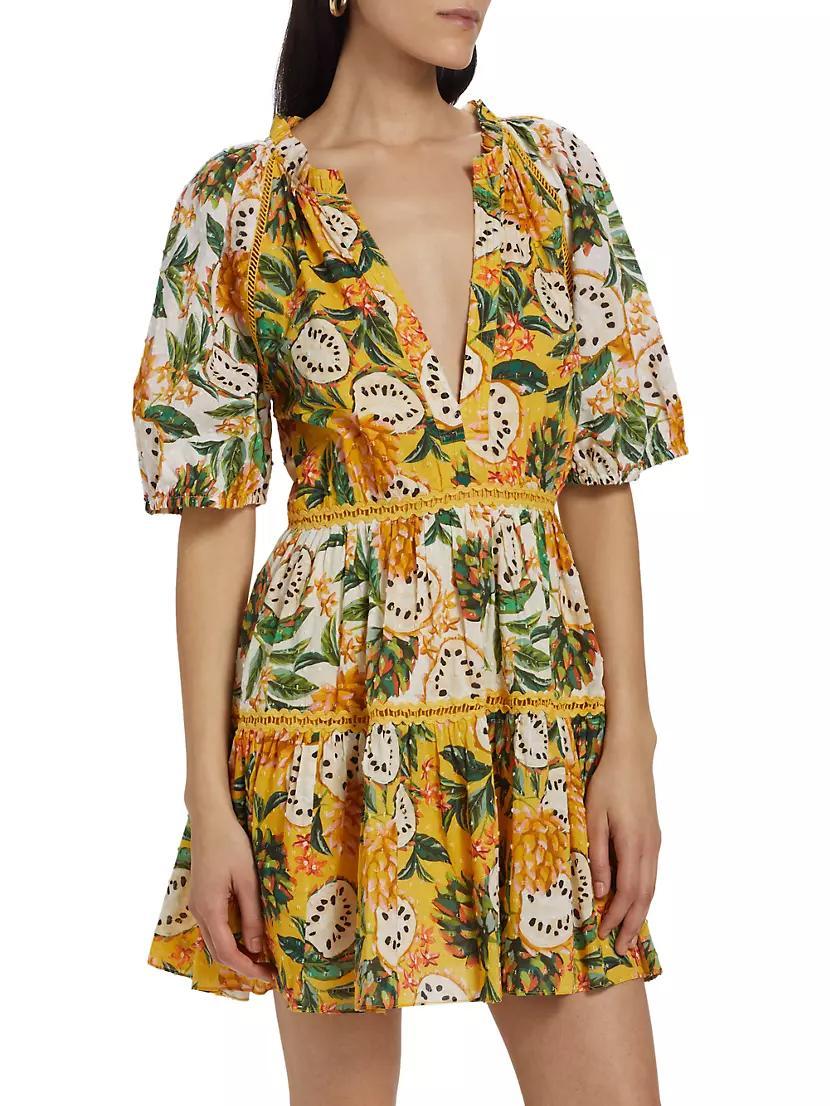 Biriba Fruit Cotton Minidress Product Image