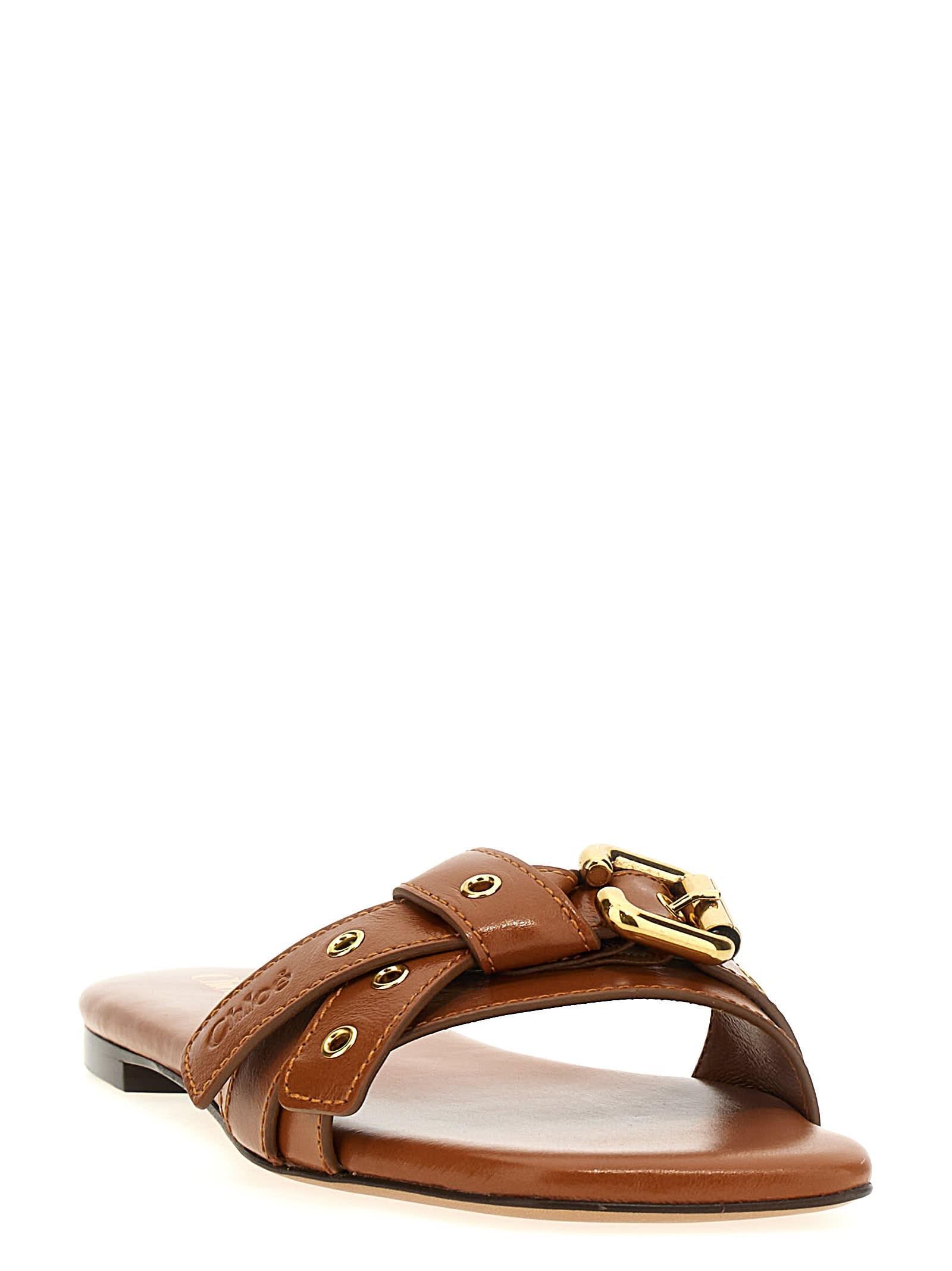 CHLOÉ Mae Leather Buckle Flat Slide Sandals In Brown Product Image