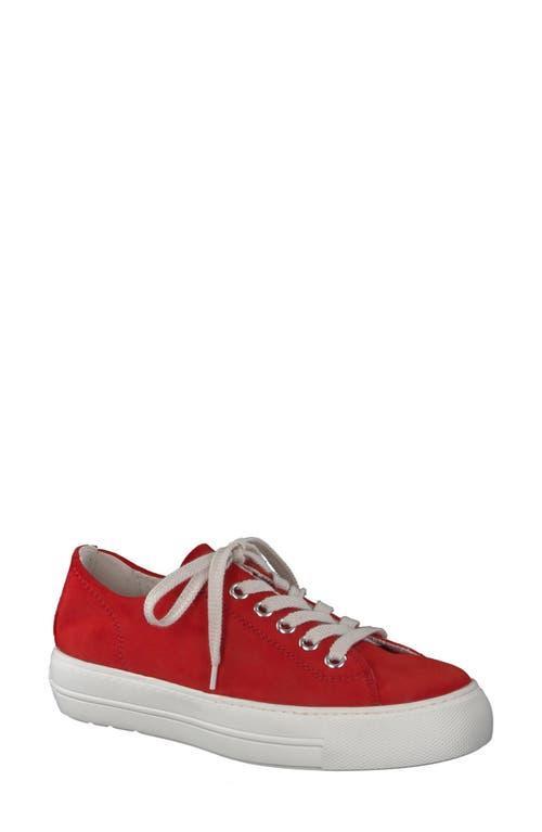 Paul Green Bixby Sneaker Leather) Women's Shoes Product Image