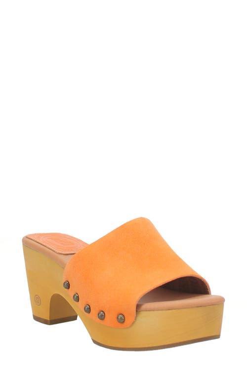 Dingo Beechwood Women's Shoes Product Image