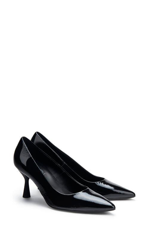 AGL Isolde Pointed Toe Pump Product Image