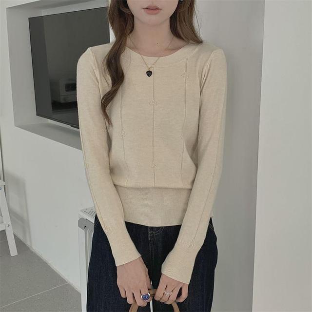 Long-Sleeve Crew Neck Plain Knit Top Product Image