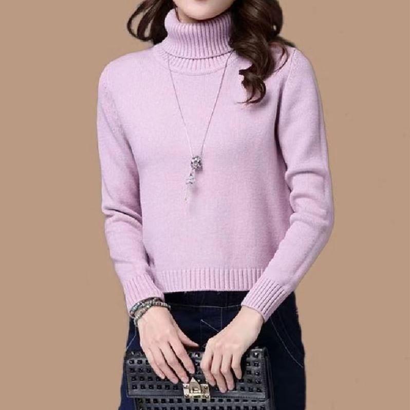 Long-Sleeve Turtleneck Plain Knit Top Product Image