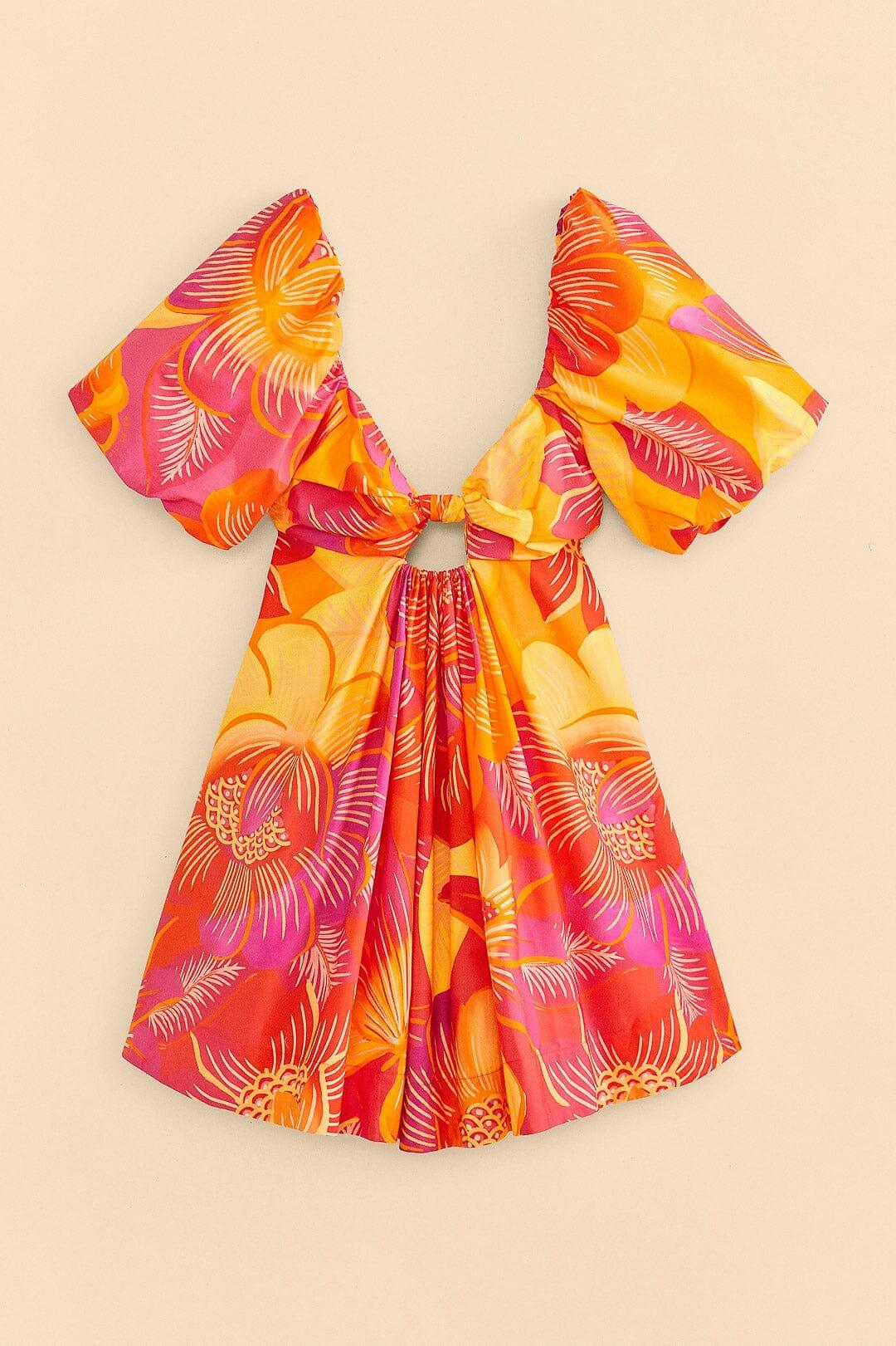 Summer Garden Ombre Mini Dress Product Image