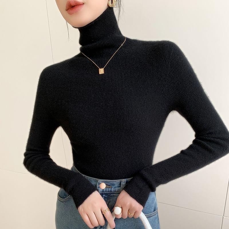 Turtleneck Plain Ribbed Sweater Product Image