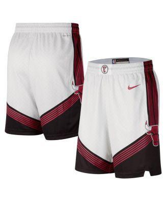 Mens Nike White Chicago Bulls 2022/23 City Edition Swingman Shorts Product Image