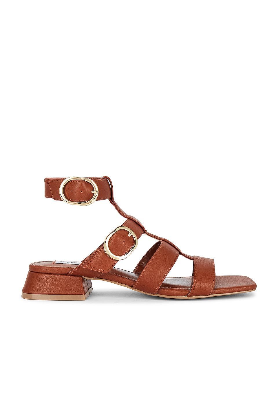 Aylin Sandal Steve Madden Product Image