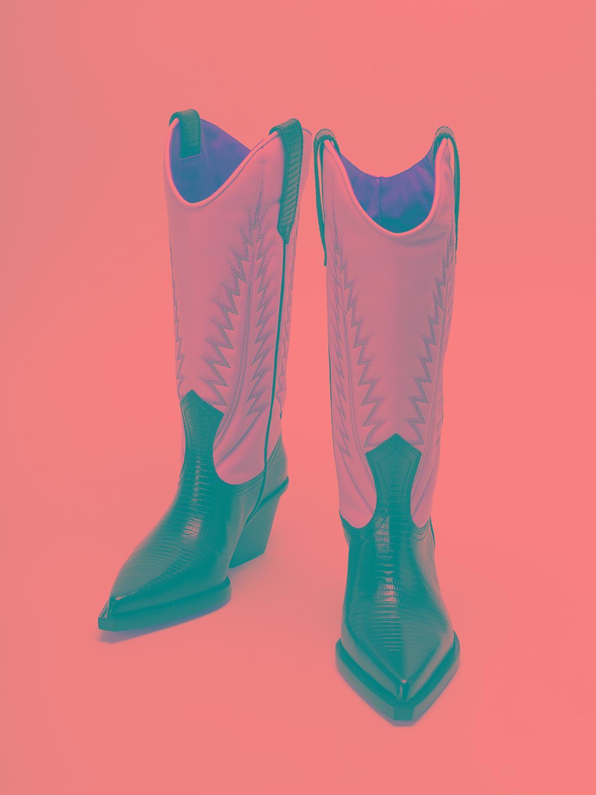 PARIS TEXAS Rosario Boots In Multicolour Product Image