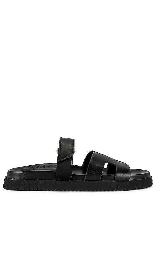 Steve Madden Mayven Leather Slide Sandals Product Image