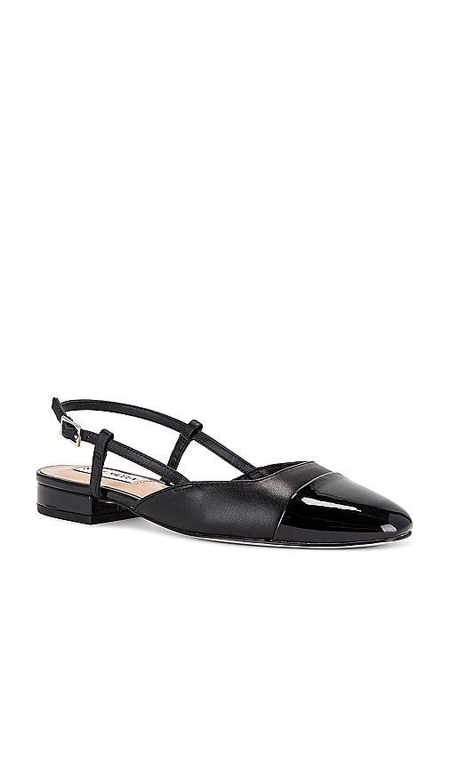 Steve Madden Belinda Flat Leather) Women's Flat Shoes Product Image