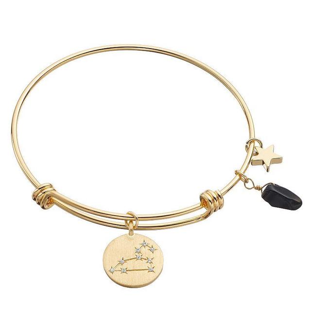 City Luxe Horoscope Cubic Zirconia Disk Bangle Bracelet with Genuine Stone & Star Charm, Womens, Gold Tone Leo Product Image