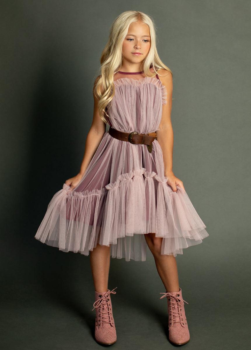 Loie Dress in Blush Product Image