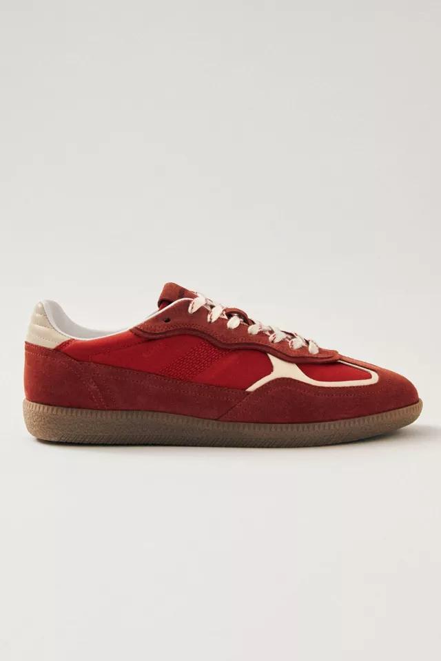 ALOHAS tb. 490 Leather Sneakers Product Image