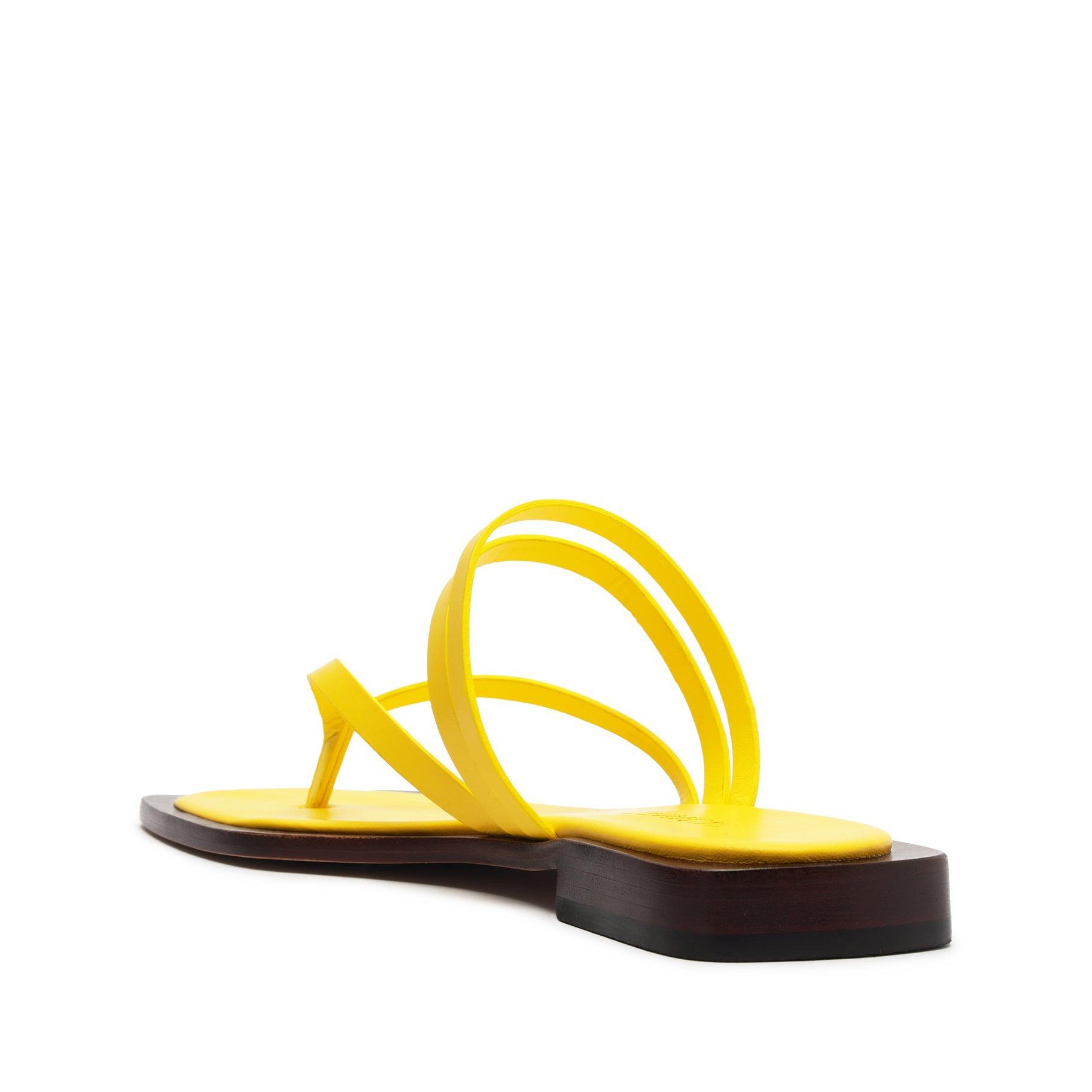 Rania Leather Flat Sandal Product Image