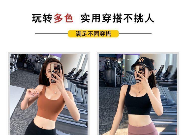 Sports Bra Product Image