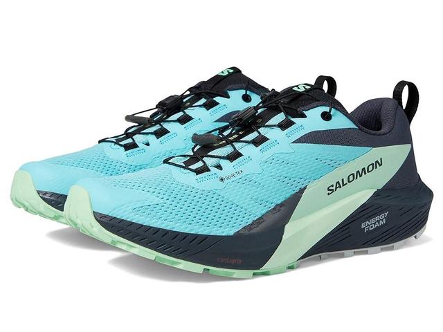 Salomon Sense Ride 5 GORE-TEX(r) Radiance Green Ash India Ink) Women's Shoes Product Image