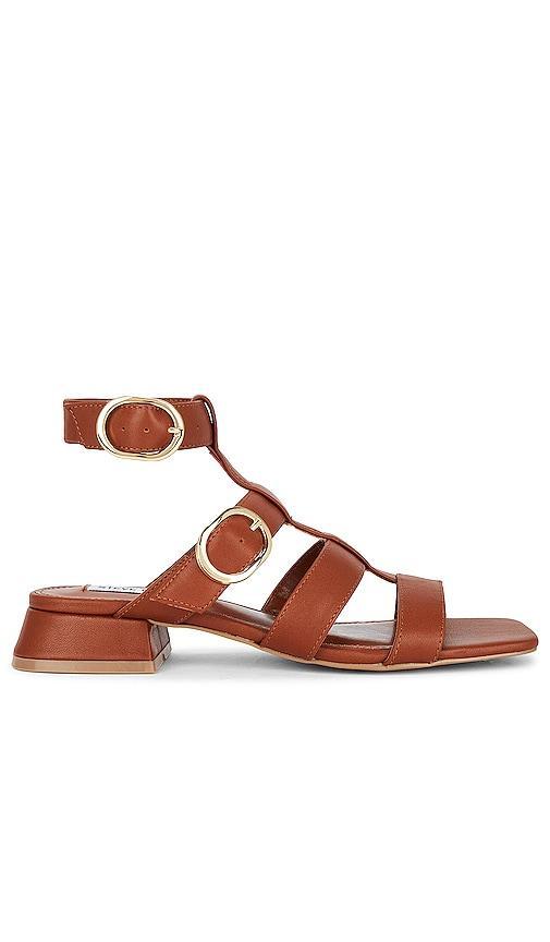 Steve Madden Aylin Sandal in Cognac. Size 7.5, 8.5. Product Image