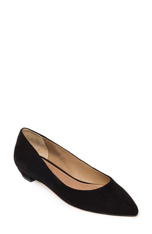 BERNARDO FOOTWEAR Fritz Pointed Toe Flat Product Image