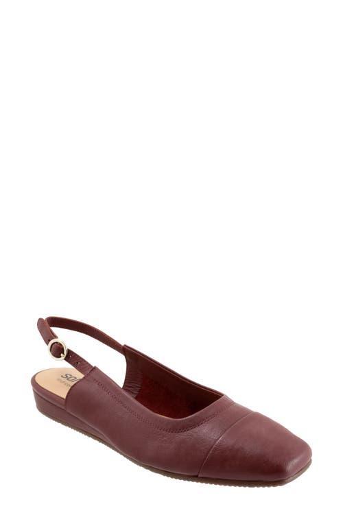 SoftWalk Vittoria Slingback Flat Product Image