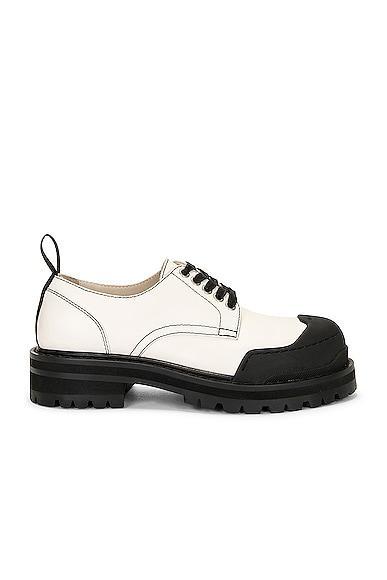 Marni Dada Derby Flat in White Product Image